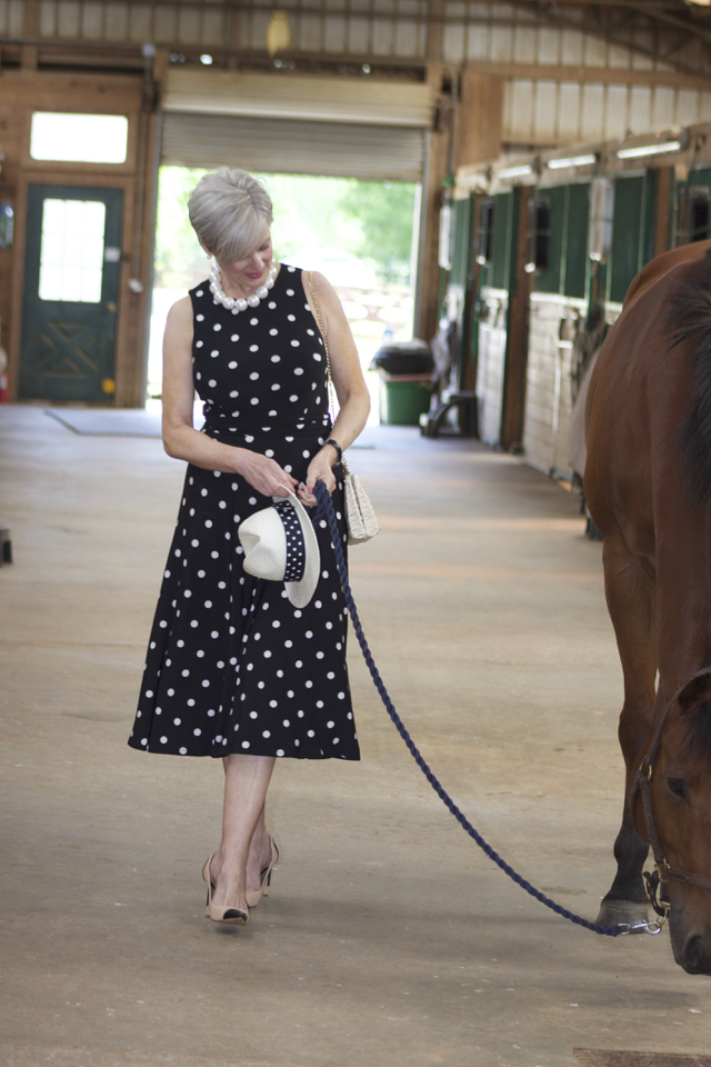 derby 5