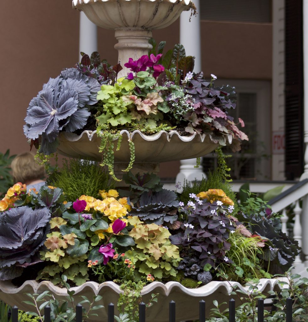charming charleston