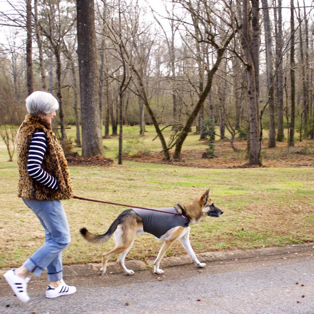 ralph lauren striped tee, j.crew striped shirt, banana republic denim, adidas sneakers, j.crew leopard vest
