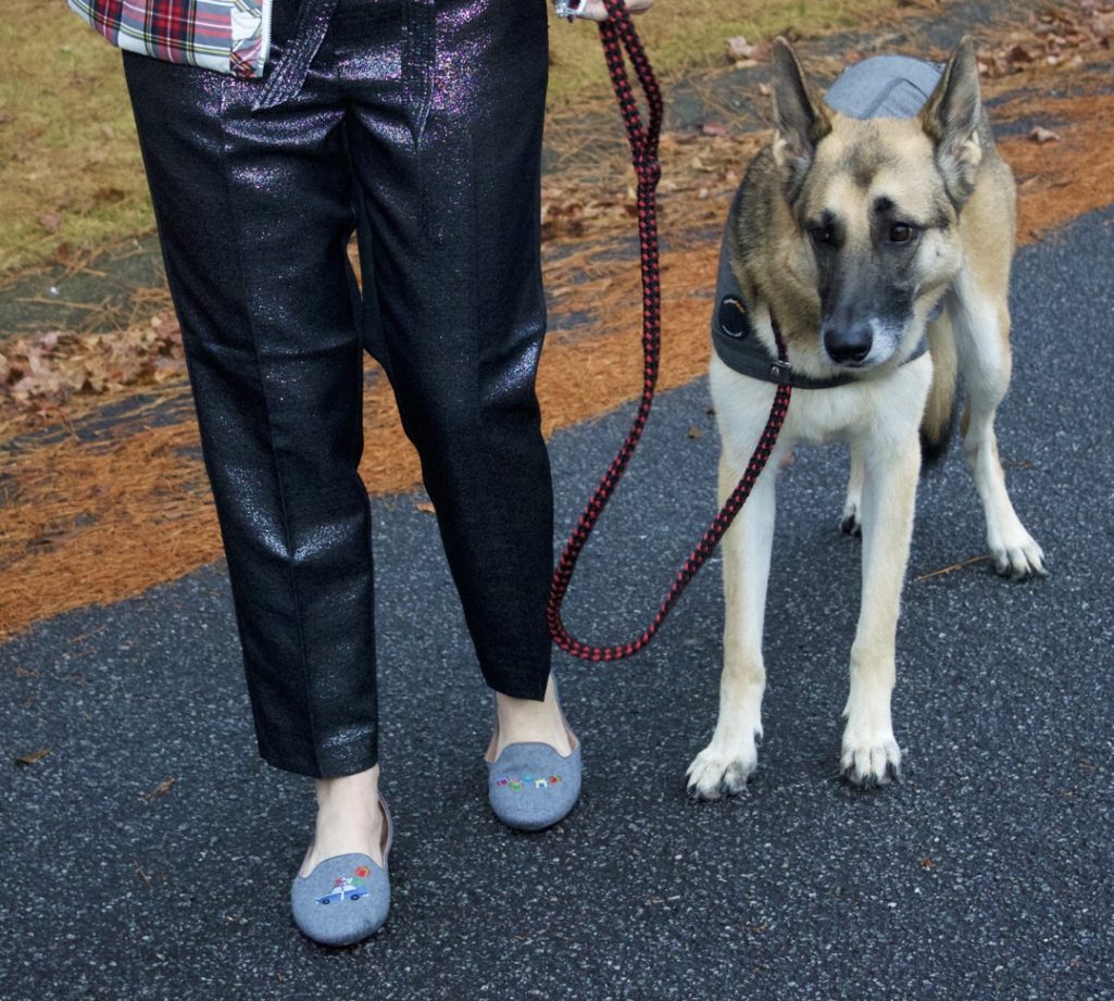 german shepherd, holiday outfit, plaid puffer vest