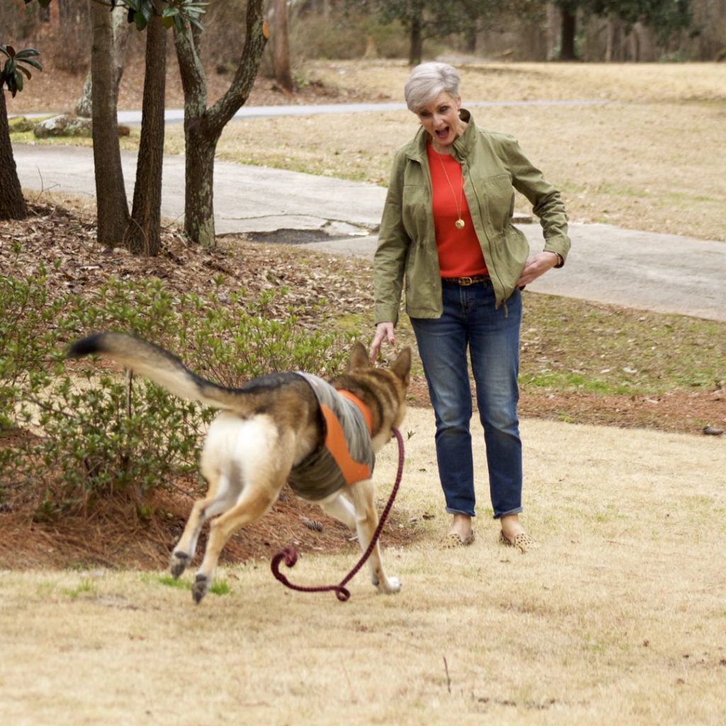 j.crew cashmere sweater, j.crew utility jacket, banana republic girlfriend jeans, madewell leopard smoking slippers