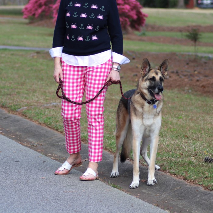 boden gingham pants, talbots embroidered sweater, talbots white shirt, jack rogers sandals