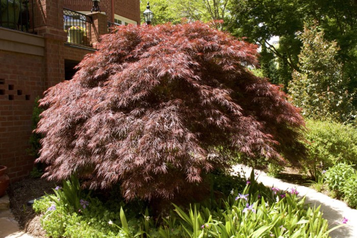 home and garden tour