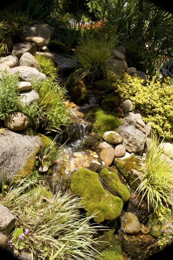 home and garden tour