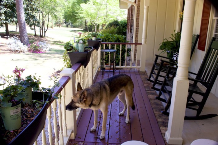 front porch life