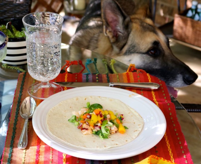 cinco de mayo