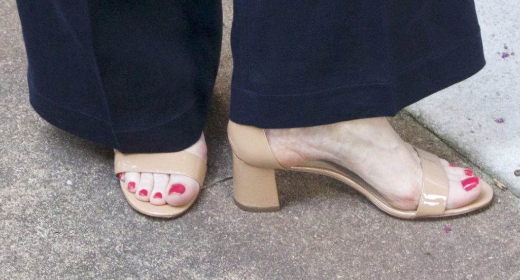 summer ann taylor
