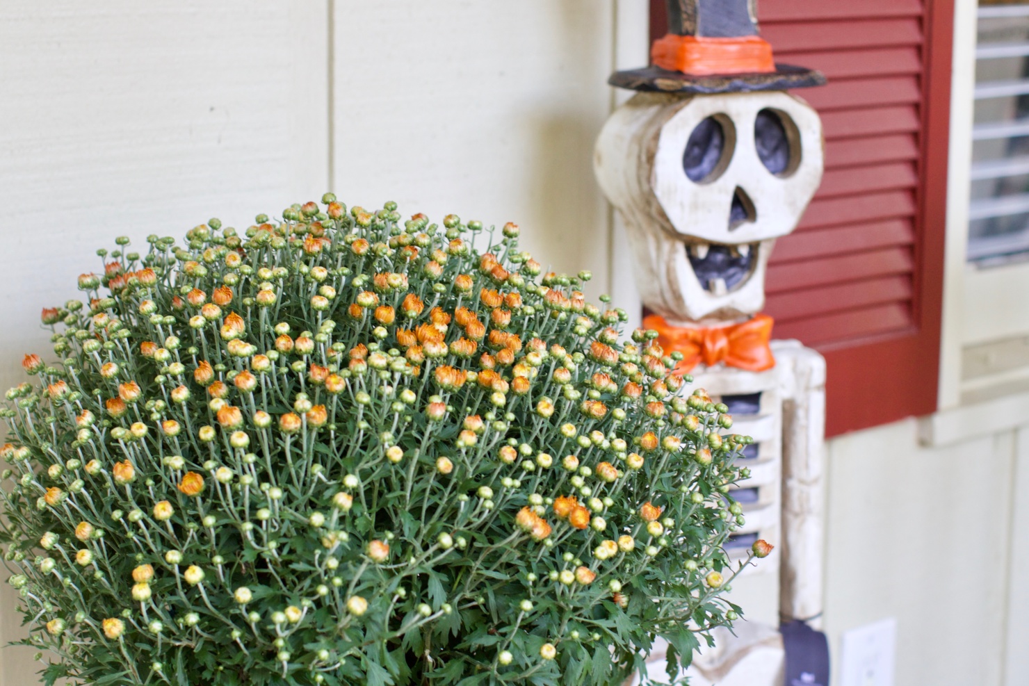 signs of fall