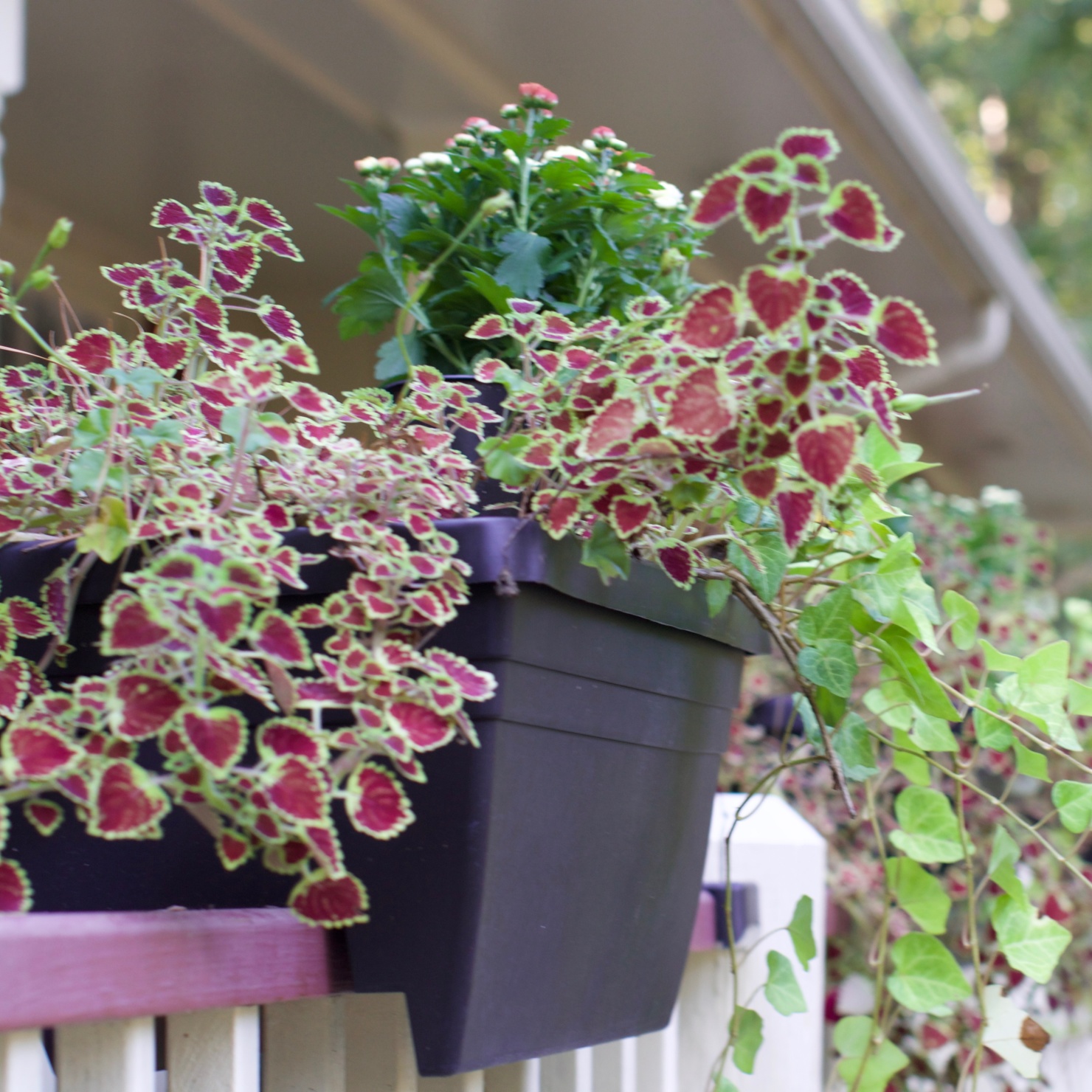 signs of fall