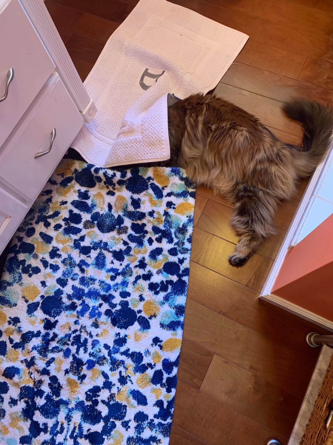 fridays with oscar | pink tart and stuffed peppers