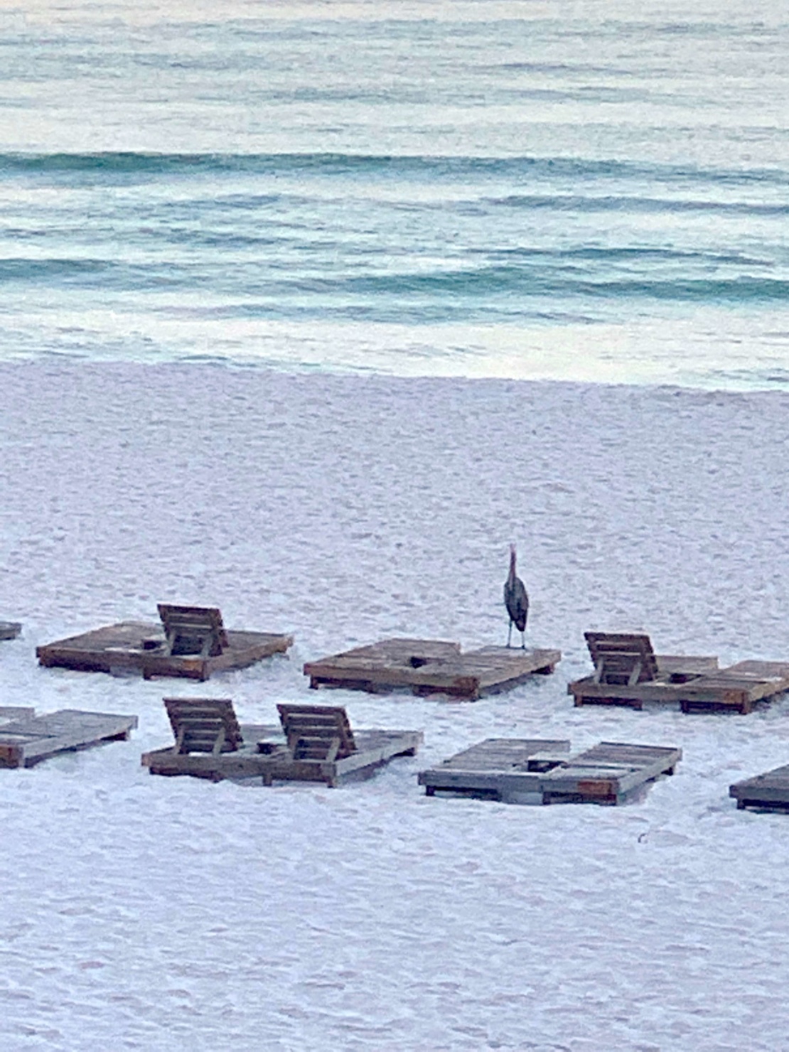 panama city beach