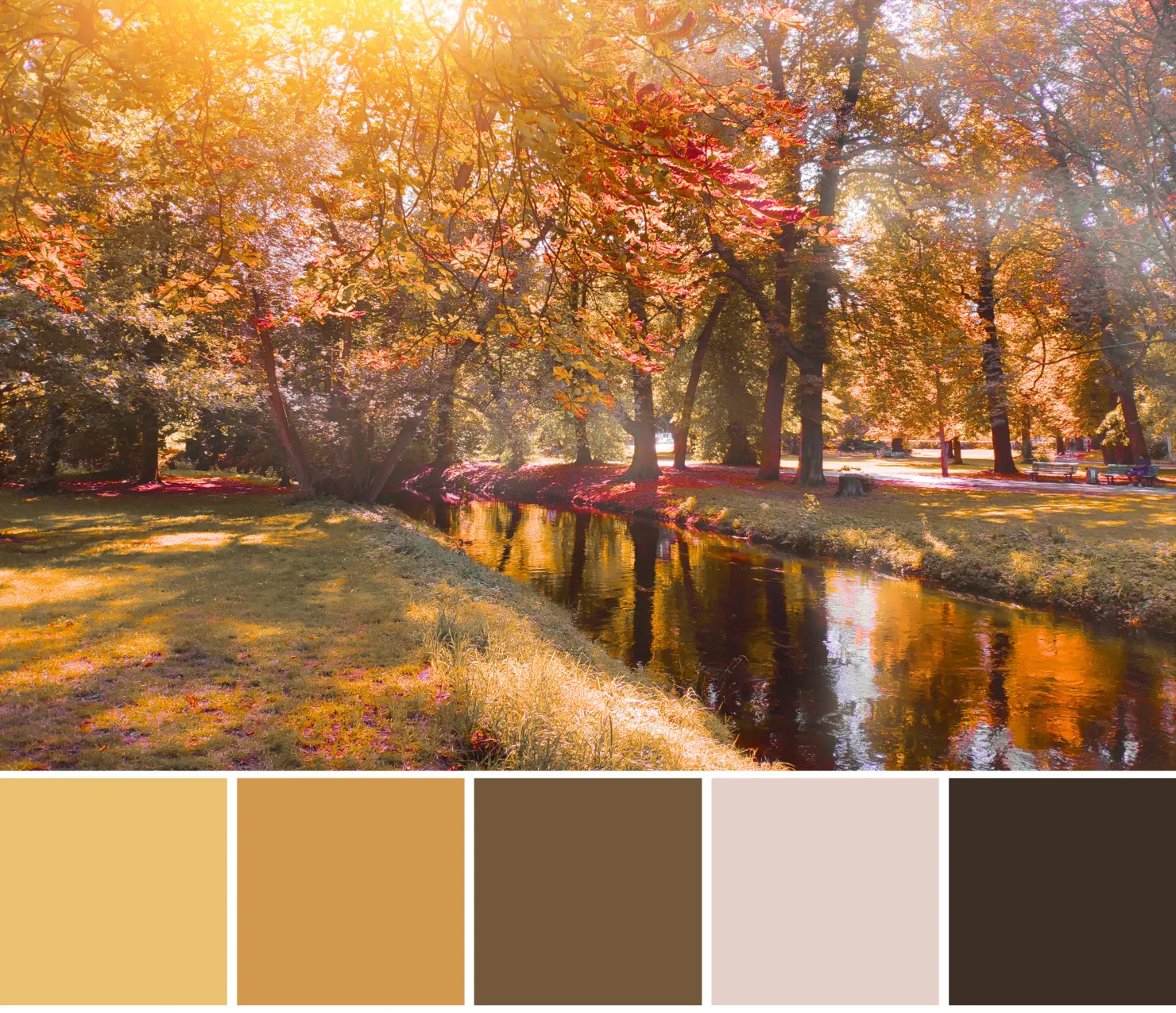 trending fall colors