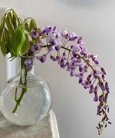 Lilac Branch - Baccarat Vase MMK (3)