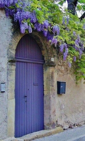 colorful door w wisteria