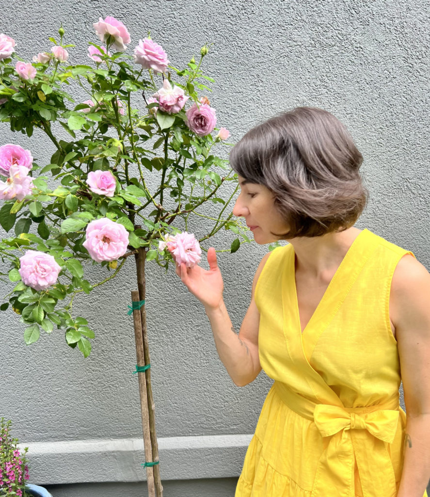 My Favorite Petite Dresses for Summer