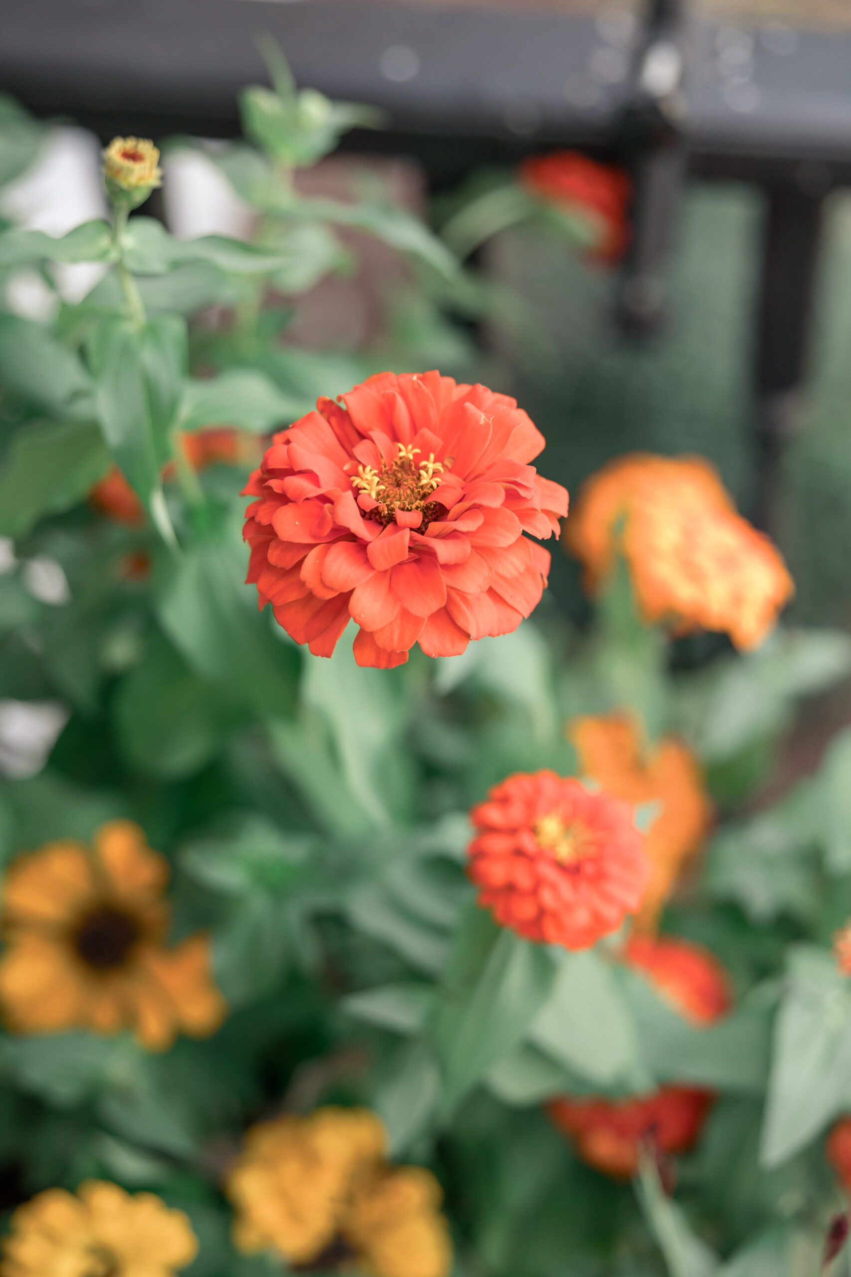 Beth | September 2023
