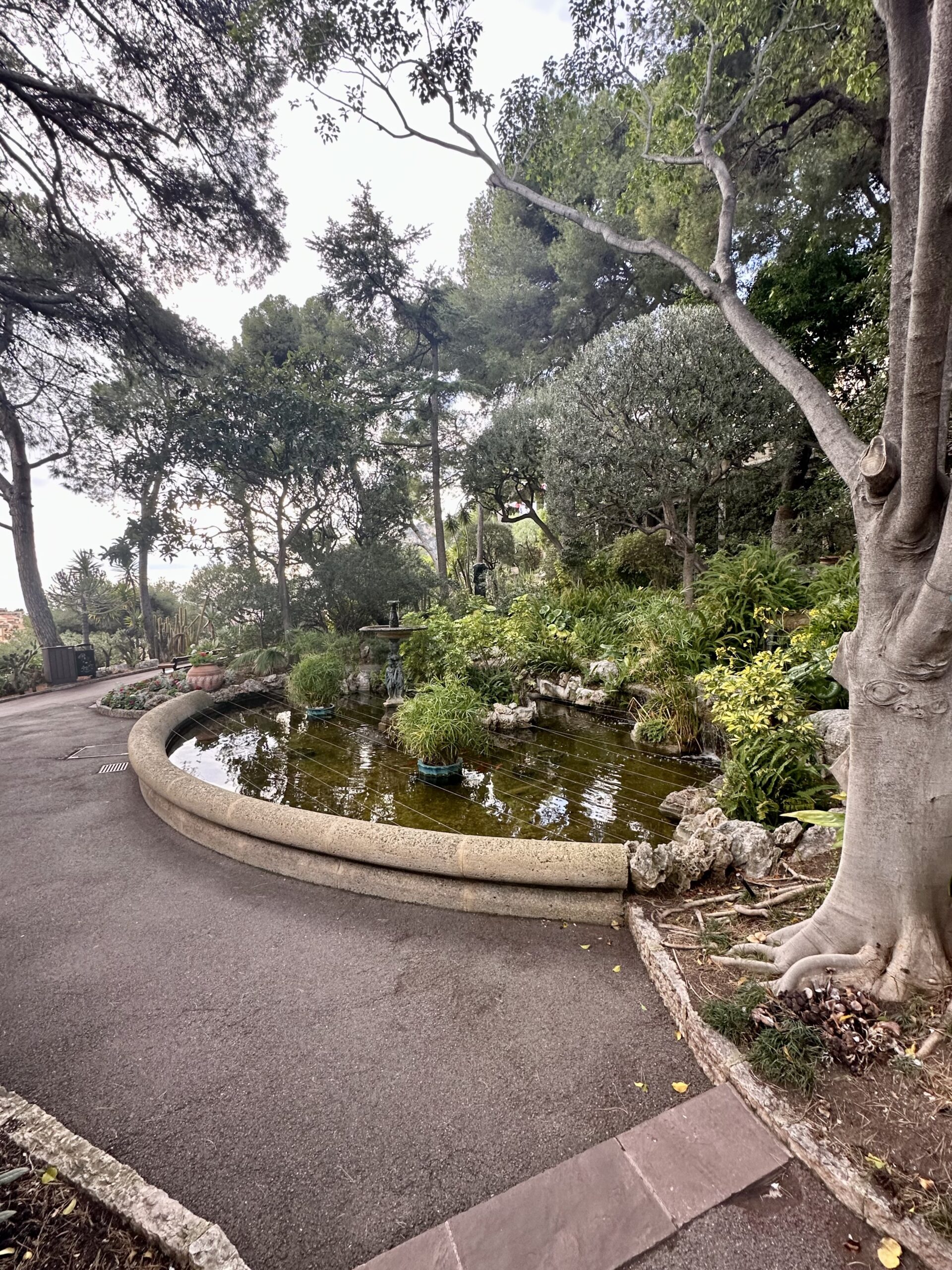 Moncao Garden 1