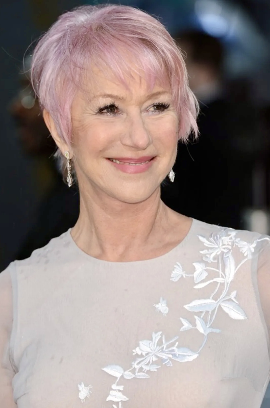 silver eyeshadow 3 Helen Mirren silver eyeshadow 3 Helen Mirren