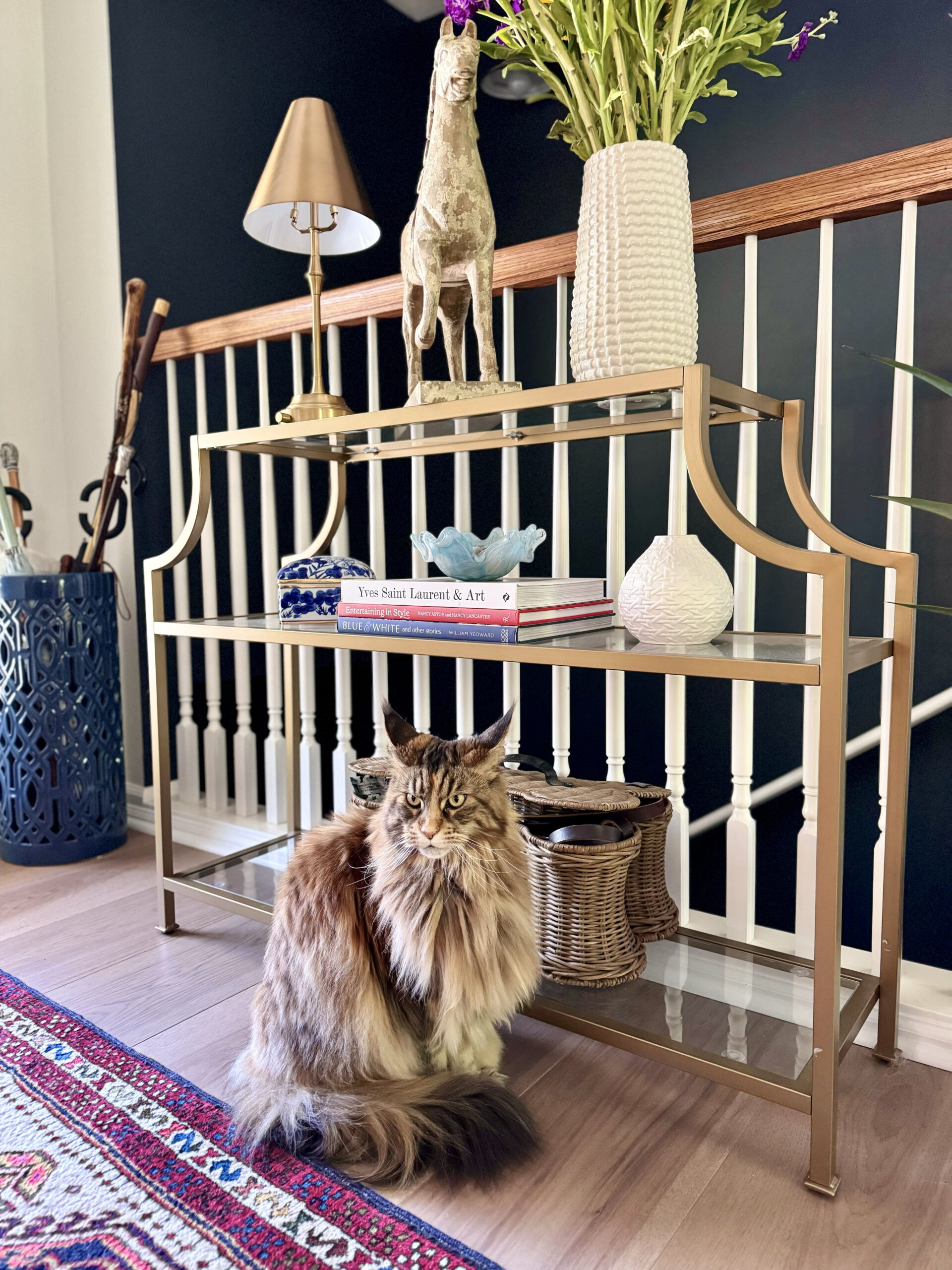 cat at home