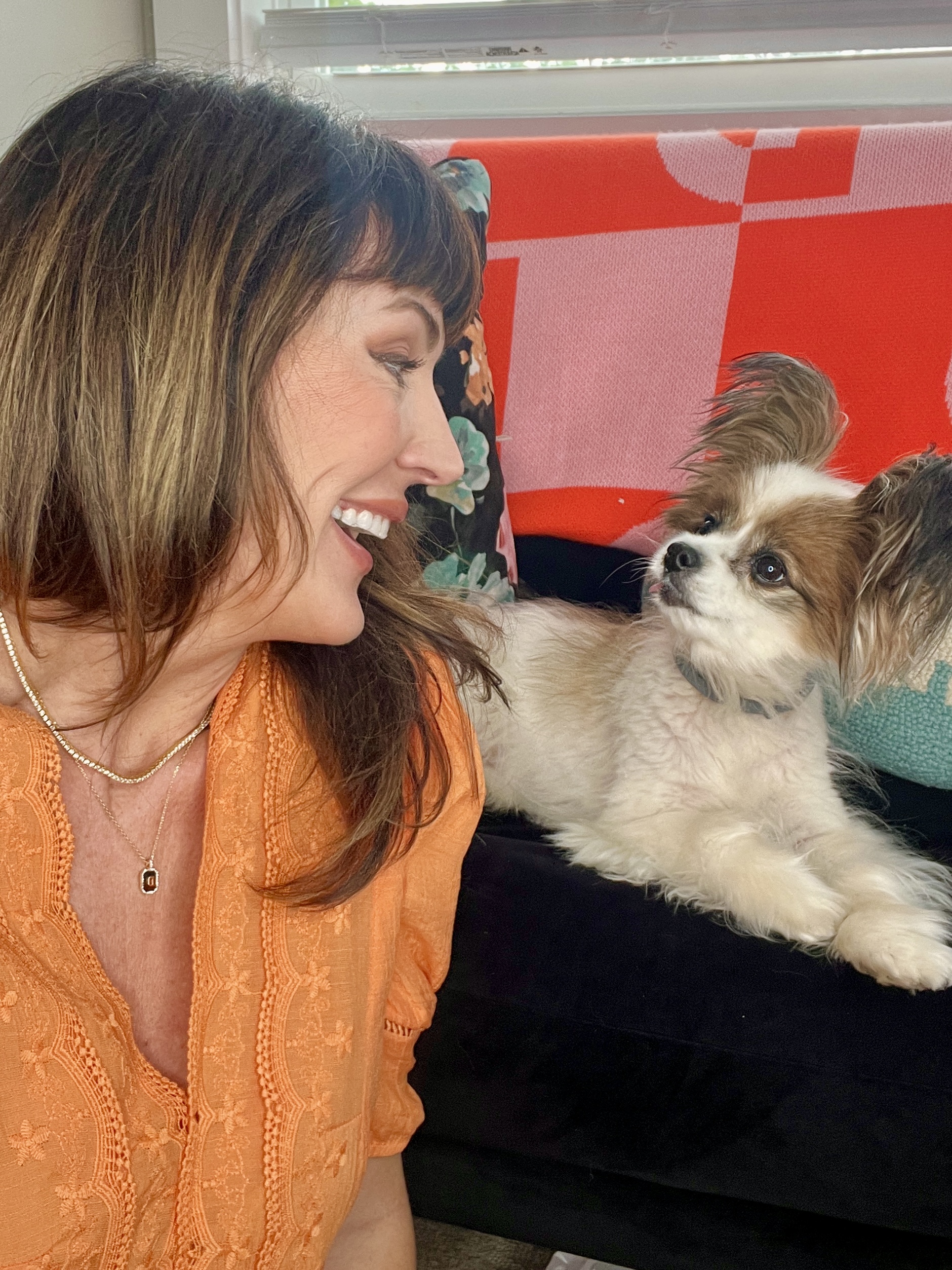 lovable looks from dog