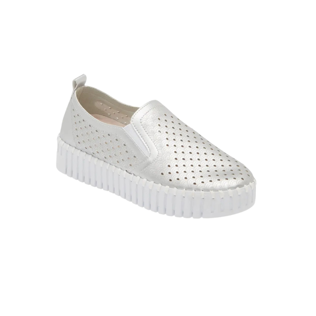 LWD for Spring 50.png