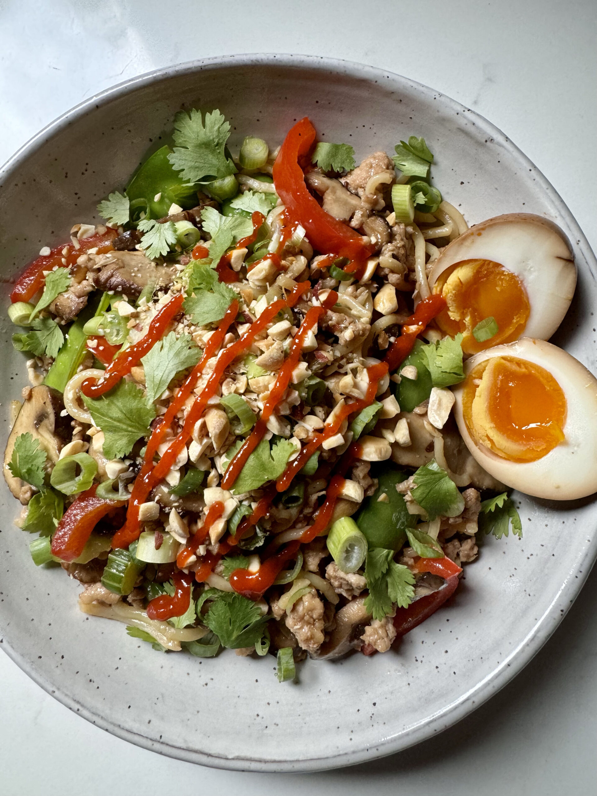 Stir Fry Noodles with Pork and Veggies