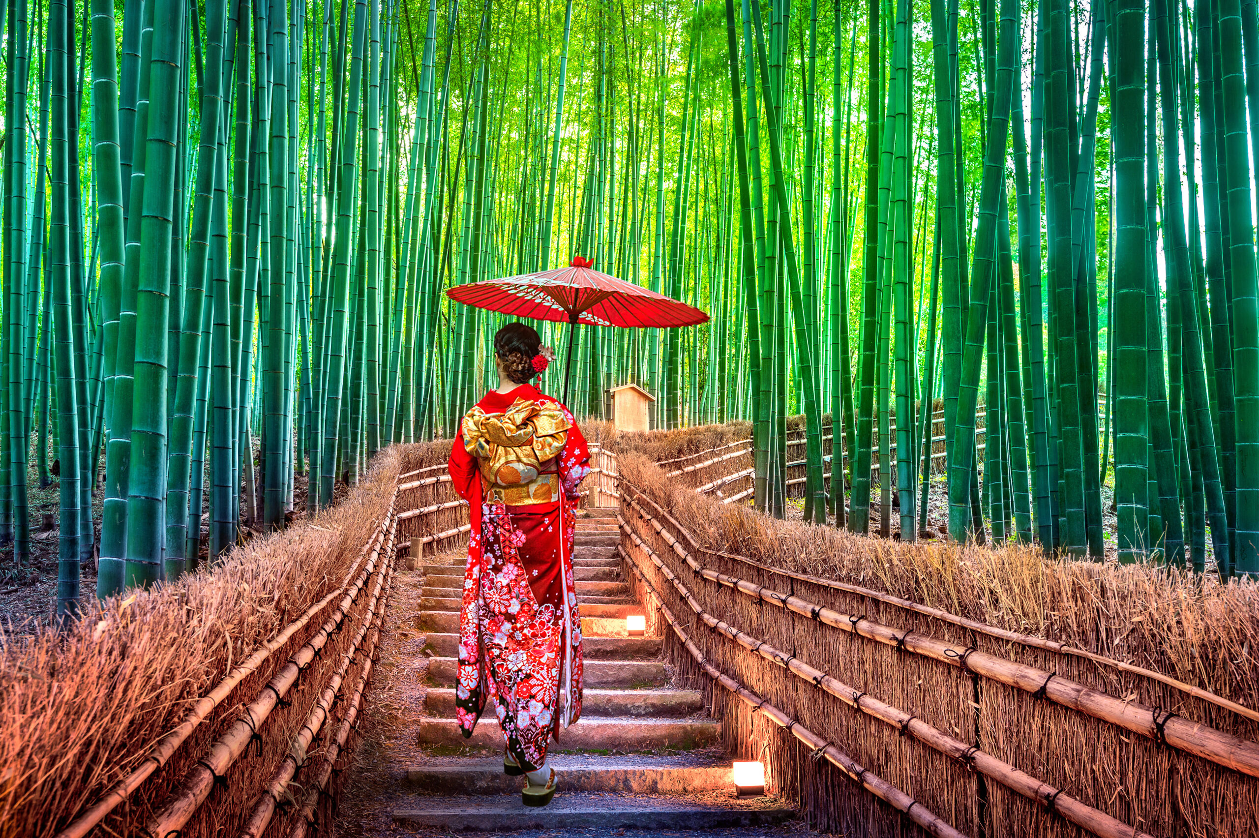 Bamboo Forest. Asian woman wearing japanese traditional kimono a Arashiyama Travel Destinations for Seniors