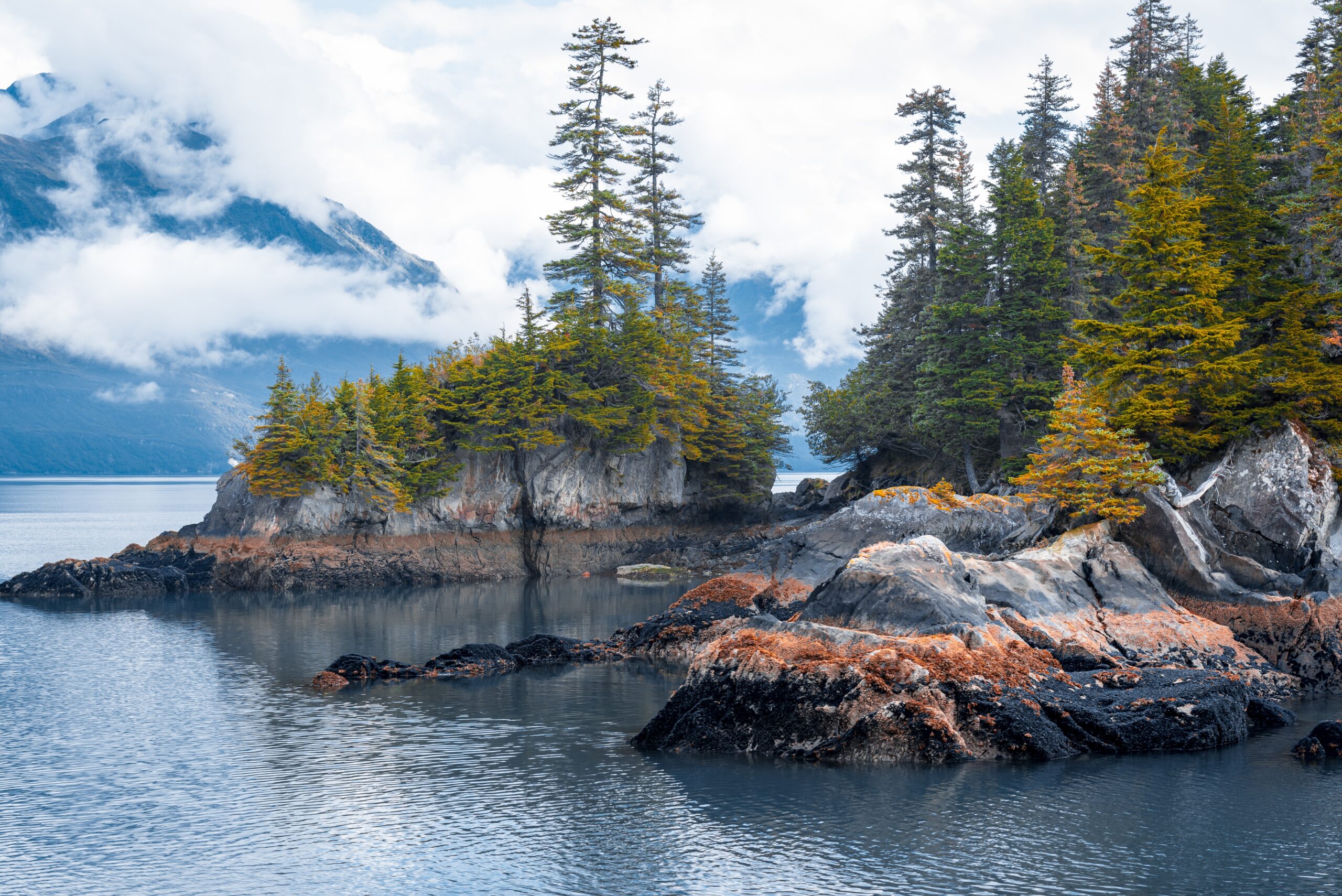 View,Of,Island,From,Kenai,Fjords,National,Park,Cruise,Tour Travel Destinations for Seniors