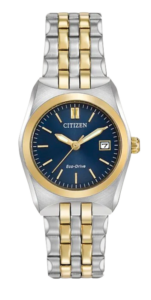 Citizen Corso Watch