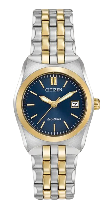 Citizen Corso Watch
