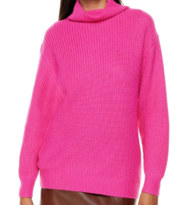 Aritzia Montpellier Turtleneck