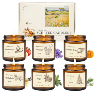Aromatherapy Scented Candles – Set of 6