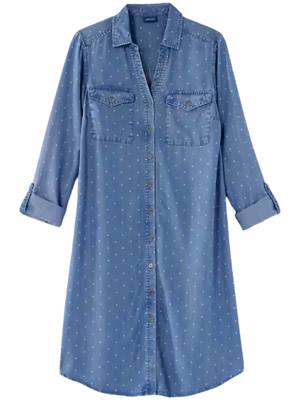 J.Jill Indigo Polka-Dot Shirtdress