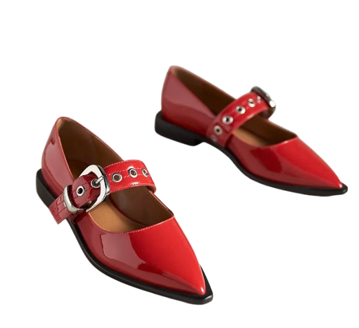 Anthro Pointed Toe Mary Jane