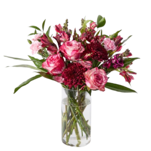 Urban Stems