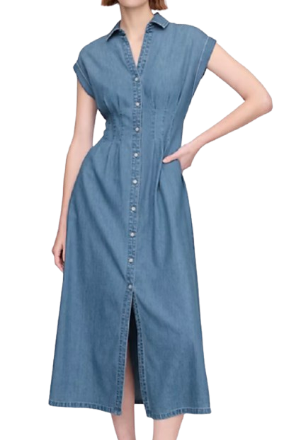 Gap Denim Shirtdress
