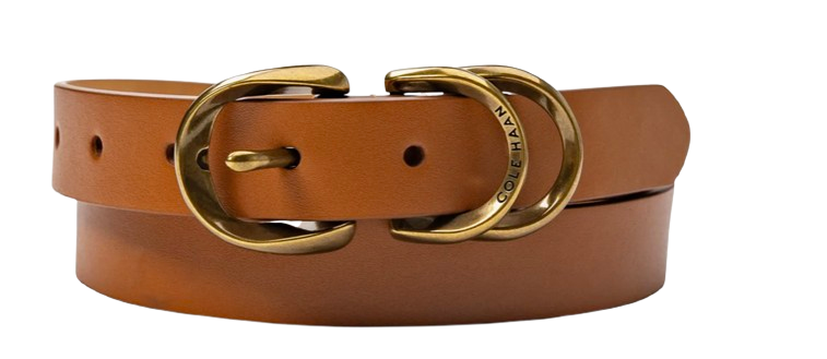 Nordstrom Wide Brown Belt
