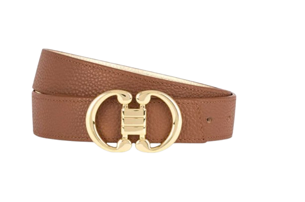Talbots Brown Gold Buckle Belt