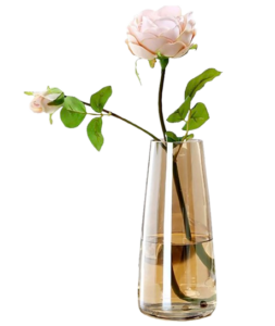 Amazon Amber Vase
