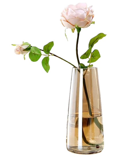 Amazon Amber Vase