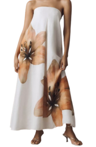 Anthropologie Parisa Maxi Dress