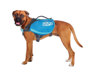 Outward Hound Dog Backpack