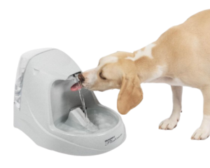 PetSafe Drinkwell Fountain