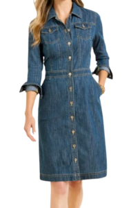 Talbots Denim Shirtdress