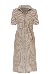 Brown and White Gingham Shirtdress