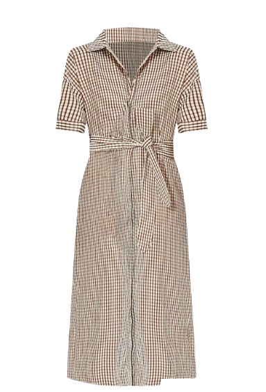 Brown and White Gingham Shirtdress