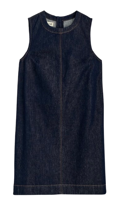 Madewell Denim Boxy Dress