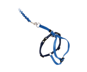 PetSafe Come With Me Kitty Harness and Bungee Leash