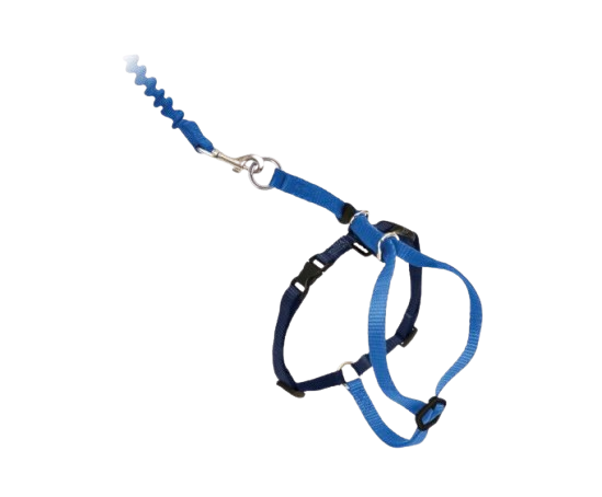 PetSafe Come With Me Kitty Harness and Bungee Leash