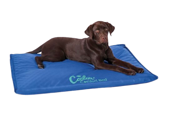 K&H Pet Products Coolin’ Comfort Bed, spring pet accessories